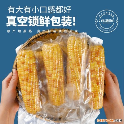 即食玉米3斤甜糯小玉米熟食免煮云南西双版纳特产早餐代餐批发