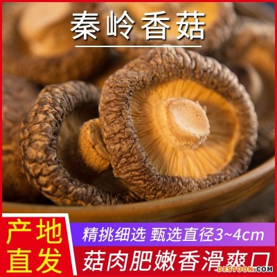 秦岭香菇干货冬菇花菇菌菇肉厚餐厅厨房食用菌散装批发3-4cm批发