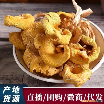 云南特产鸡油菌干货产地批发货源黄金菇榆黄菇菌汤包原料火锅食材