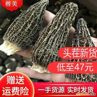 楷美高原羊肚菌菌类干货云南特产头茬2021新货干货羊肚菌一件代发