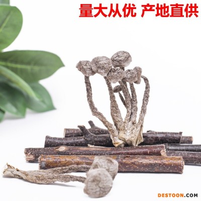 鹿茸菇鹿茸菌干货500g鹿茸菇干货鹿茸菌干货食用菌批发