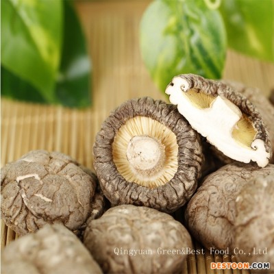 干香菇批发 庆元干香菇