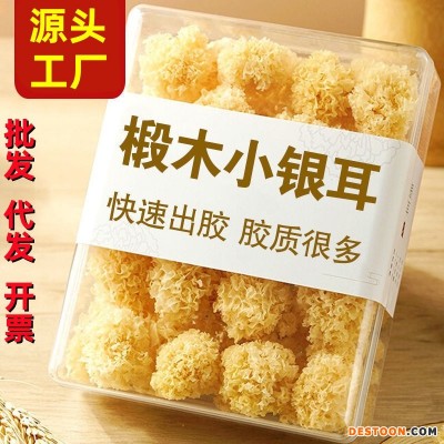 新货椴木银耳好煮出胶干货农家白木耳糯耳古田特产百合莲子羹毛重