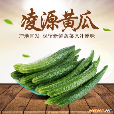 厂家批发产地直供新鲜嫩绿黄瓜4kg礼盒装 健身辅食蔬菜沙拉餐食材