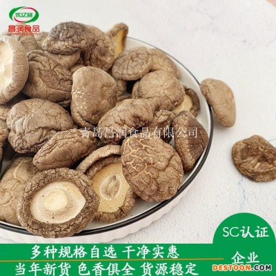 产地批发食用香菇新鲜香菇500g食用香菇直径3cm4cm