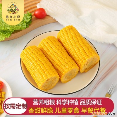 即食水果玉米棒批发水果玉米棒可出口批发甜玉米棒子销售