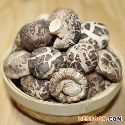 湖北随州特产香菇干货椴木小花菇产地直批500克农家花菇冬菇干货