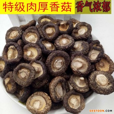 香菇干批发小香菇干货500g无根特产散装脚金钱菇100g冬菇肉厚蘑菇包邮