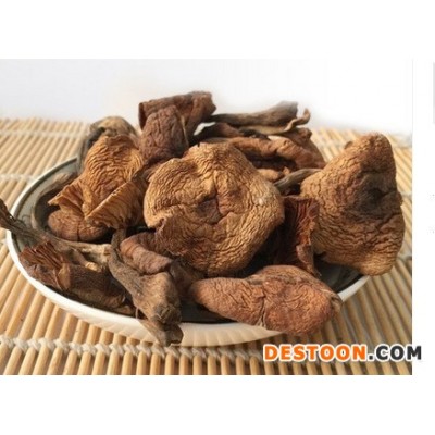 批发东北榛蘑 小鸡炖蘑菇 鲜美可口来自大自然的珍馐美味500克/份