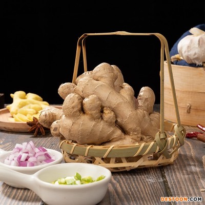 厂家批发 来凤风头姜生姜食品黄姜大姜新鲜嫩姜烹饪原料 基地种植