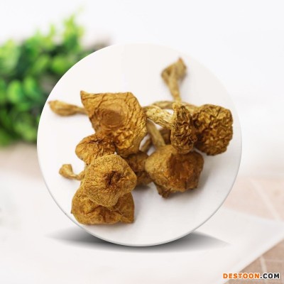 大量批发东北特产长白山食用菌干蘑菇滑子蘑