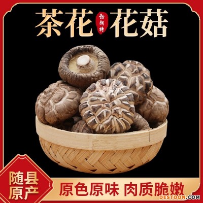 茶花花菇 柄短香菇干冬菇批发产地直发花菇干货批发 佛跳墙配料