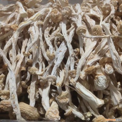 鑫榕钰海鲜菇干货剪根无根不开伞 海鲜菇菇香柄脆嫩蟹味菌菇