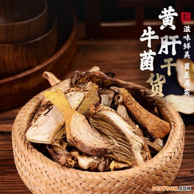黄牛肝菌干货美味牛肝菌云南特产菌类干货黄牛肝菌干片现货批发