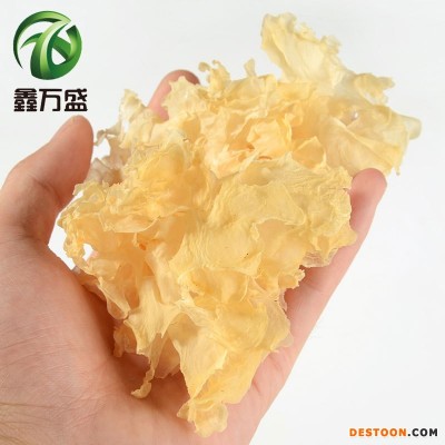 鑫万盛食用菌批发500g去根白花雪耳块白花古田银耳白木耳块