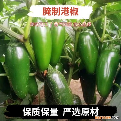 洪武山腌制港椒 咸菜下饭菜 泡椒开味菜腌制 尖辣椒腌制泡菜酱菜