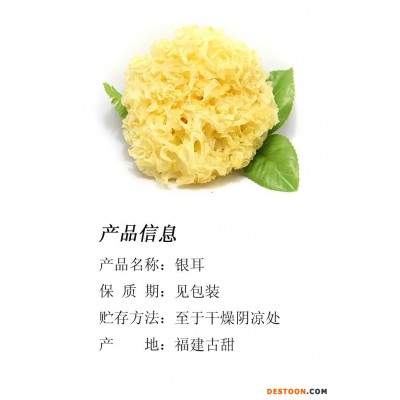 古田银耳500g 雪耳 丑耳 古田白木耳 银耳花 厂家批发