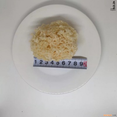 椴木小银耳椴木雪耳糯耳中大朵菇农山泉水灌盖自产自销
