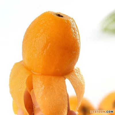 [顺丰发货]四川米易枇杷果新鲜采摘高山水果应季琵琶果一件代发