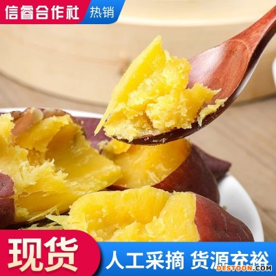 农家山芋蜜薯 红薯西瓜红蜜薯 新鲜沙地番薯地瓜糖心蜜薯整箱