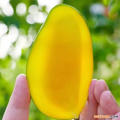 攀枝花小金煌核薄肉质厚5斤8斤普箱礼盒装一件无痕代发现货速发