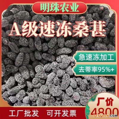 产地直销A级速冻桑葚冷冻去蒂桑葚果汁原料冷冻桑葚果汁速冻水果