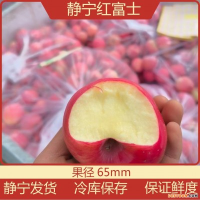 静宁红富士小苹果新鲜苹果65mm苹果水果批发水果一件代发