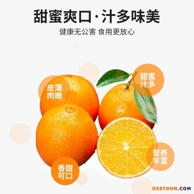 江西赣南脐橙新鲜橙子皮薄5 10 20斤果园现摘橙子 产地大量批发