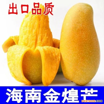 小台芒
