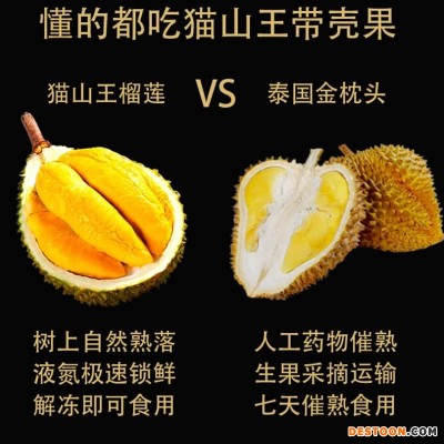 猫山王榴莲D197AA果原箱整件马来西亚进口液氮冷冻新鲜批发