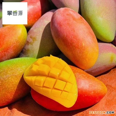 27号发攀枝花树上熟细腻小贵妃5斤8斤普箱礼盒装一件无痕代发