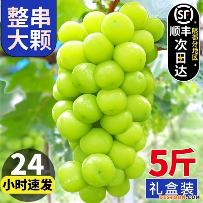 阳光玫瑰葡萄晴王水果新鲜应当季整箱礼盒香印青提子2斤1斤顺
