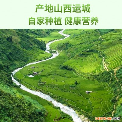 2斤现货晴王云南阳光玫瑰青提子葡萄新鲜无籽水果非巨峰日本香印