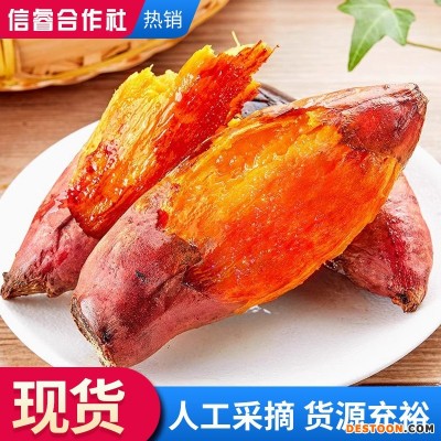 新鲜蜜薯.正宗山东沙地蜜薯.地瓜红薯烟薯25号烟薯店用批发50斤