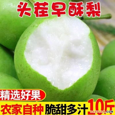 砀山青梨