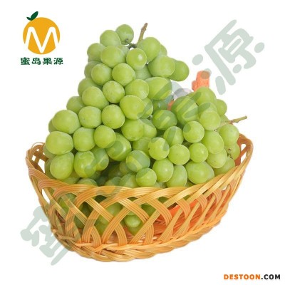 现货 晴王 香印无籽葡萄 阳光玫瑰青提 新鲜水果4.5斤装 新鲜葡萄