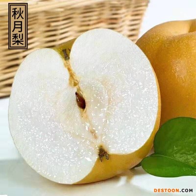山东莱阳秋月梨水果4.5斤梨子新鲜斤当季甜雪梨丰水冰糖梨整箱