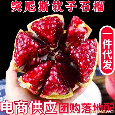 四川会里突尼斯石榴软籽石榴新鲜水果石榴产地直发|一件代发包邮