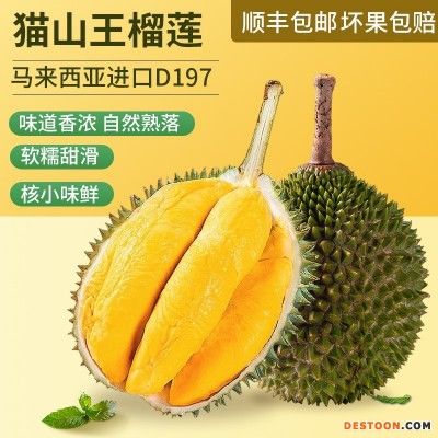 猫山王榴莲D197液氮冷冻榴莲批发马来西亚进口正宗水果顺丰包邮