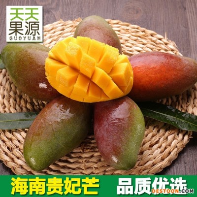 产地货源海南贵妃芒5斤装整箱新鲜芒果 贵妃海南水果批发非台芒