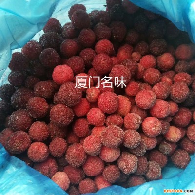 名味 速冻杨梅 冷冻杨梅 厂家 速冻果蔬
