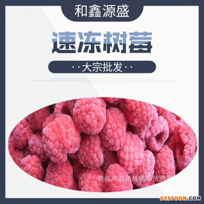 大宗批发 冷冻树莓 速冻树莓 冷冻树莓碎 速冻树莓碎