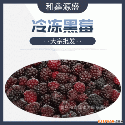 大宗批发 冷冻黑莓 速冻黑莓