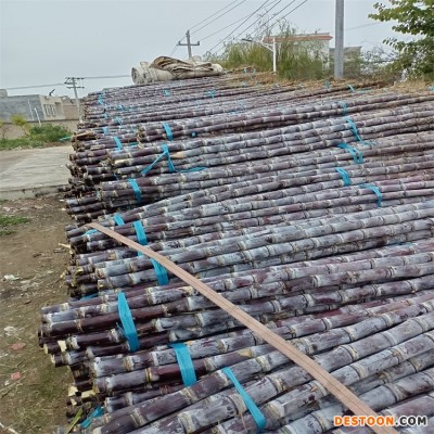 展宏 黑皮甘蔗大量供应 脆甜多汁当季水果 清甜果蔗现砍现发