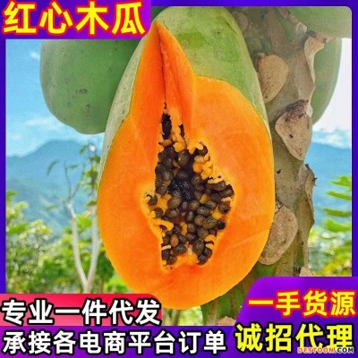红心木瓜时令水果产地直发新鲜采摘红心木瓜包邮3斤5斤9斤装一件