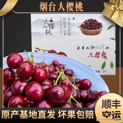 顺丰空运现摘礼盒装新鲜大樱桃当季孕妇水果箱装美国进口车厘子