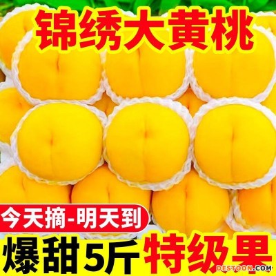 黄金油桃锦绣黄桃甜大黄桃新鲜水果水蜜桃脆甜毛桃一整箱批发价