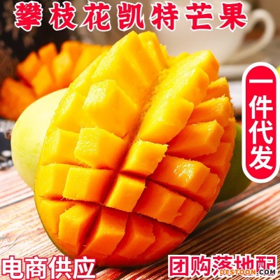 四川攀枝花凯特芒果一件代发大脸芒新鲜水果现摘凯特芒批发包邮