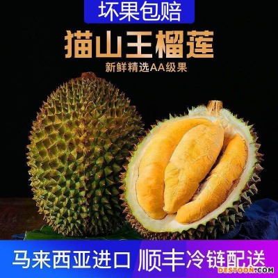 猫山王榴莲 (D197)马来西亚进口带壳榴莲新鲜肉液氮冷冻顺丰批发