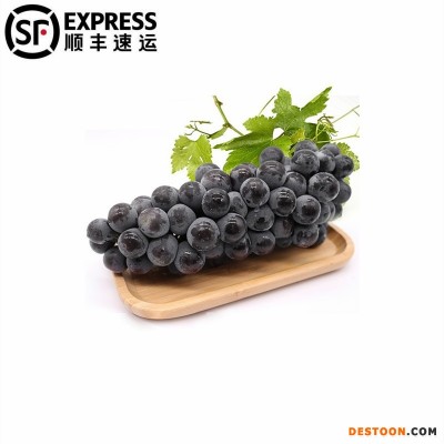 5斤顺丰云南夏黑葡萄整串应季新鲜无籽葡萄现摘葡萄多汁水果整箱